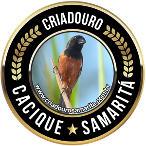 logo.png (121 KB)